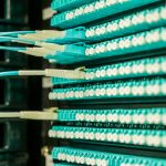 Networking cables plugged into a patch panel, showcasing data center connectivity.